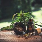 CBD trgovina in njeni izdelki za vse težave