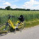 Ali so električna kolesa prihodnost mobilnosti